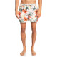 Quiksilver Ανδρικό μαγιό Everyday Garden Path 15" - Swim Shorts for Men
